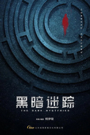 黑暗迷踪海报