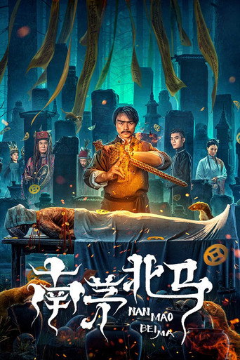 南茅北马海报