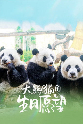 大熊猫的生日愿望海报
