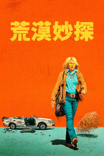 荒漠妙探海报
