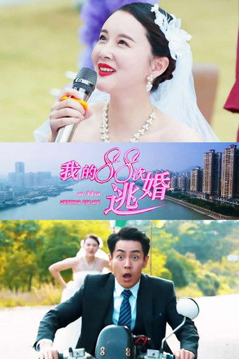 我的88次逃婚海报