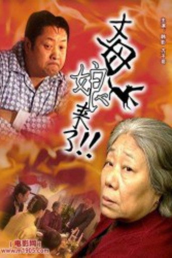 丈母娘来了海报