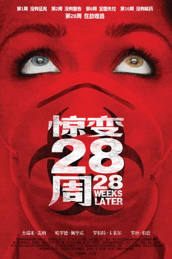 惊变28周海报