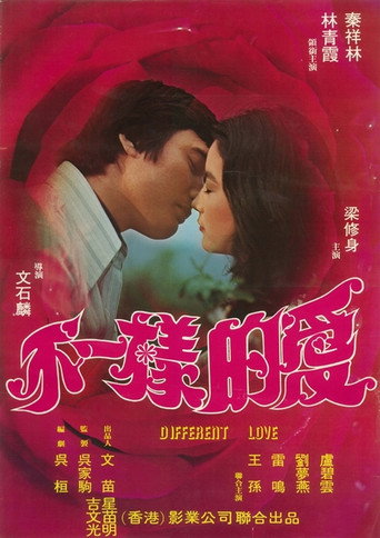 不一样的爱海报