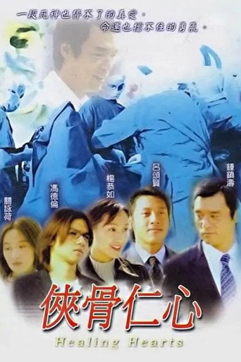侠骨仁心海报