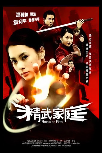 精武家庭海报
