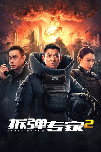 拆弹专家2海报
