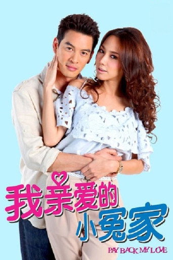我亲爱的小冤家海报