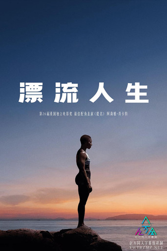 漂流人生海报