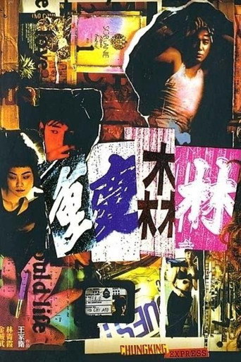 重庆森林海报