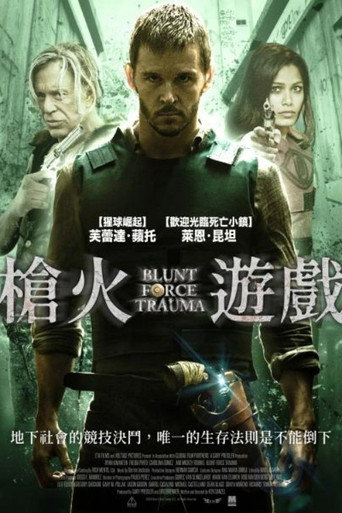 枪火游戏海报