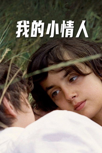 我的小情人海报