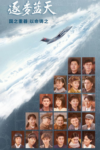 逐梦蓝天海报