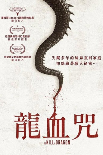 杀死恶龙海报