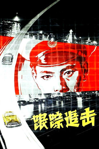 跟踪追击海报
