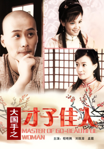 大国手之才子佳人海报