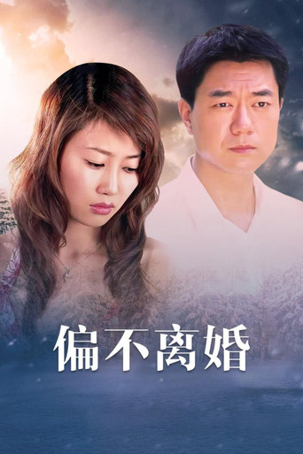 婚姻的敌人海报