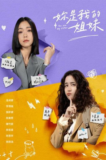 你是我的姐妹海报