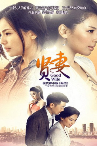 贤妻海报