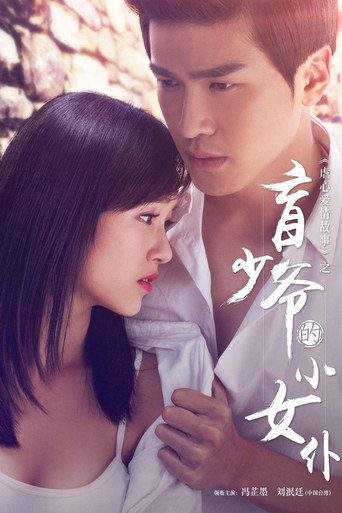 盲少爷的小女仆海报