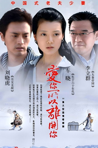 爱你所以离开你海报