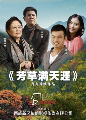 芳草满天涯海报