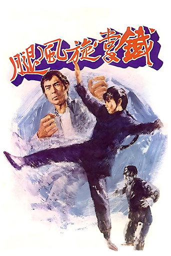 铁掌旋风腿海报