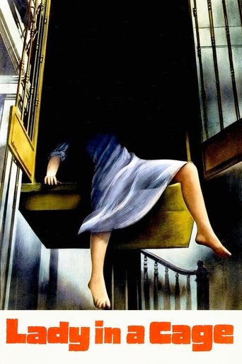 笼子里的女人海报