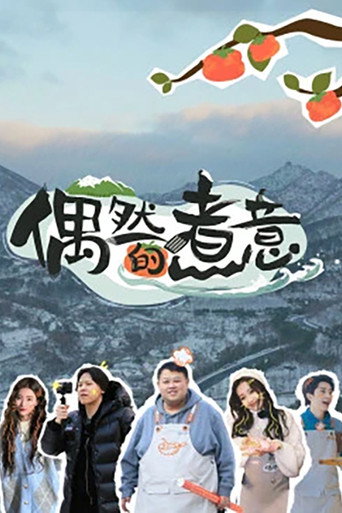偶然的煮意海报