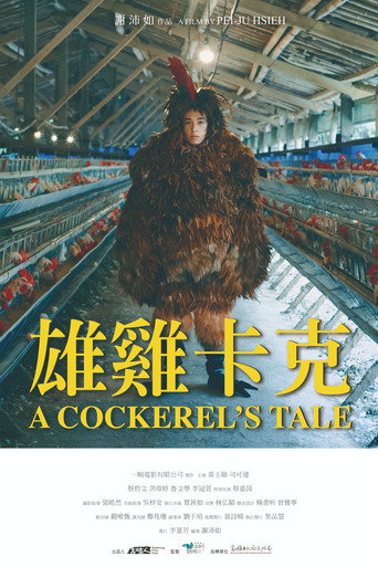 雄鸡卡克海报