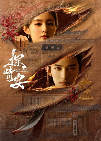 探晴安海报