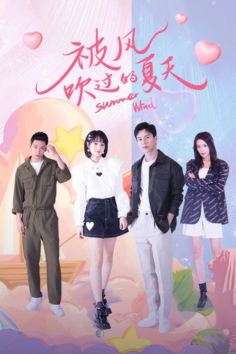 被风吹过的夏天海报