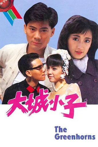 大城小子海报