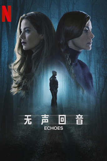 无声回音海报