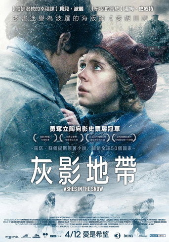 雪中灰烬海报