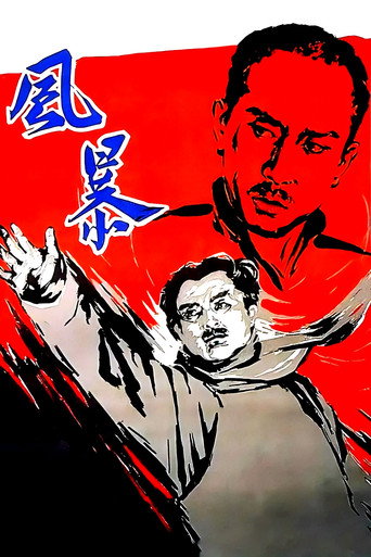 风暴海报