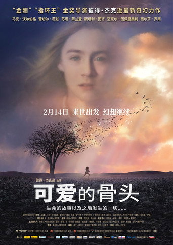 可爱的骨头海报