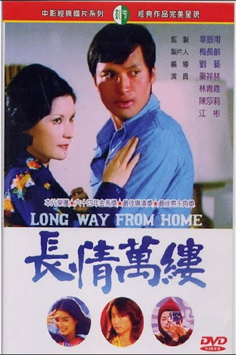 长情万缕海报