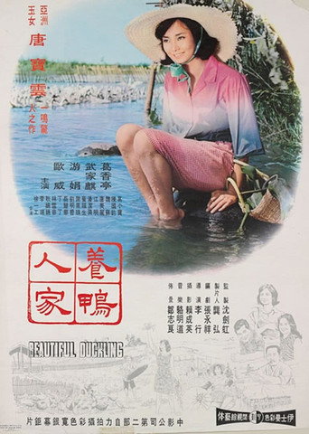 养鸭人家海报