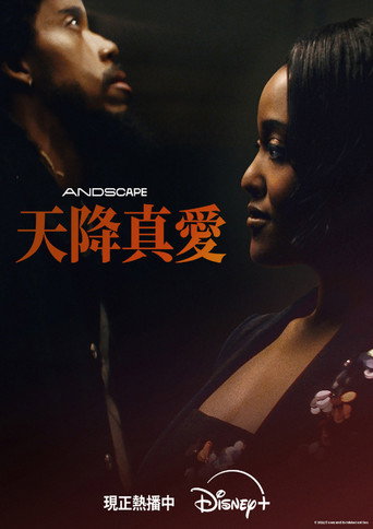 爱情专家海报