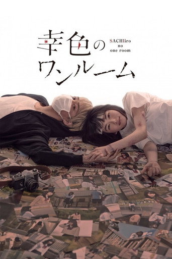 幸色的一居室海报