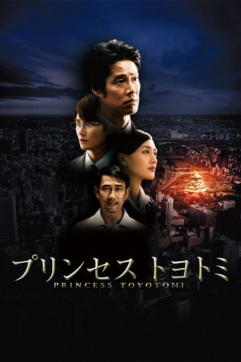 丰臣公主海报