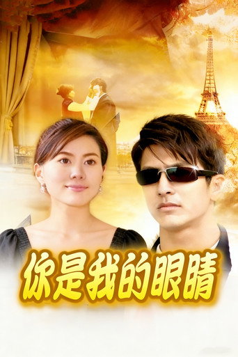 你是我的眼睛海报