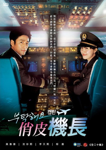 拜托了机长海报