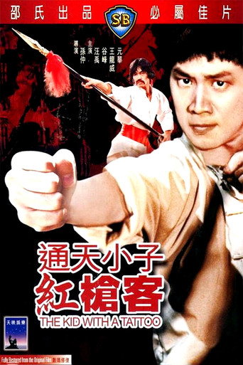 通天小子红枪客海报