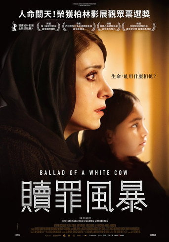 白奶牛之歌海报