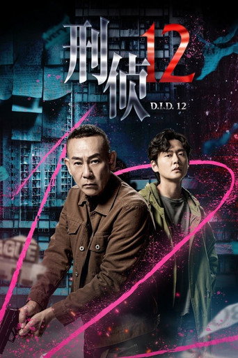 刑侦12海报