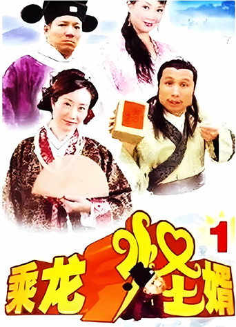 乘龙怪婿 第一季海报