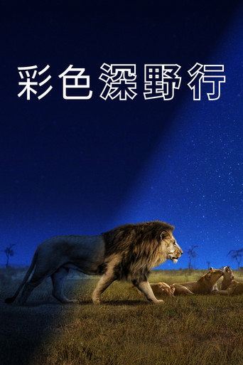 探索夜色大地海报