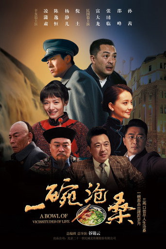 一碗沧桑海报